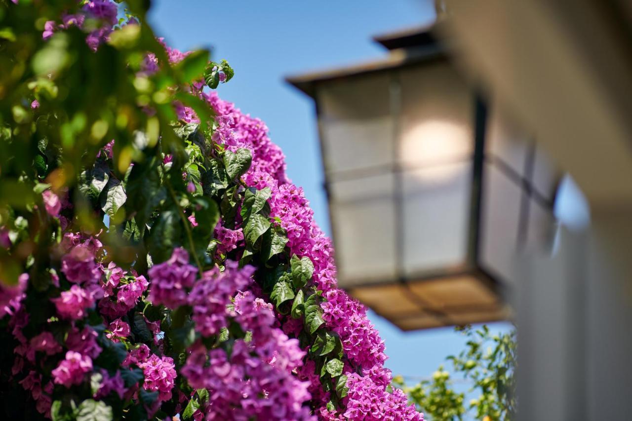 Villa Magnolia Cavtat Kültér fotó